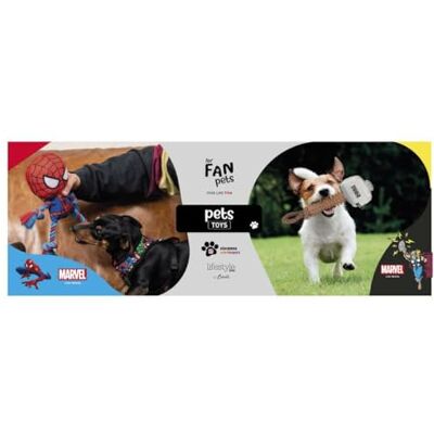 BigBuy Accessories koeltas BigBuy Accessories koeltas