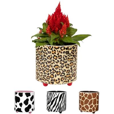 Fisura – Decoratieve bloempot met luipaardprint. Originele keramische bloempot met pootjes voor binnen. Geschikt voor vetplanten, bloemen of een kleine cactus. 13 x 12,5 cm Fisura – Decoratieve bloempot met luipaardprint. Originele keramische bloempot met pootjes voor binnen. Geschikt voor vetplanten, bloemen of een kleine cactus. 13 x 12,5 cm