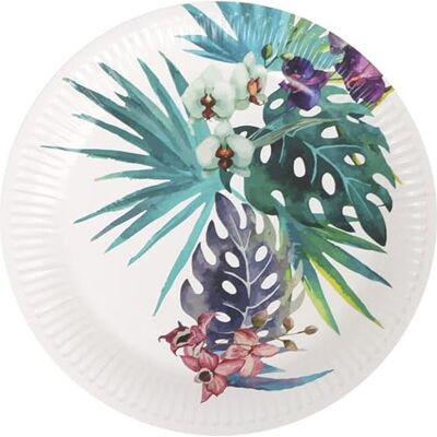 Algon Wegwerpborden, 23 cm, robuust en milieuvriendelijk, ideaal voor feestjes, evenementen en vergaderingen, 8 stuks Algon Wegwerpborden, 23 cm, robuust en milieuvriendelijk, ideaal voor feestjes, evenementen en vergaderingen, 8 stuks