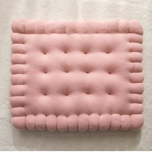 TAGKOMA Biscuit Vloerkussen Effen Kleur Groot Vloerkussen Voor Volwassenen Kinderstoel Zitkussens Woonkamer Slaapkamer Klaslokaal Outdoor Yoga Meditatie Groot Vloerkussen,roze,40X50cm