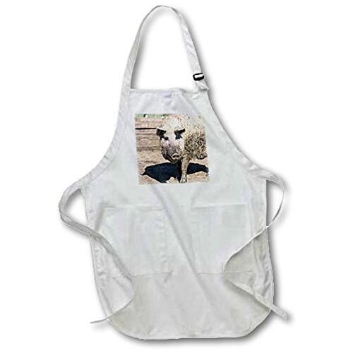 3dRose " Mangalitsa Varken Hongarije, Oost-Europa Apron, Wit, 22 x 24-Inch