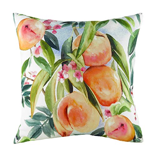 Evans Litchfield Fruit Perziken Polyester Gevuld Kussen, Multi, 43 x 43cm