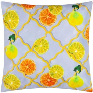 furn. Wylder Citrus Trellis Gedrukt Outdoor Polyester Gevuld Kussen Blauw 45x45cm furn. Wylder Citrus Trellis Gedrukt Outdoor Polyester Gevuld Kussen Blauw 45x45cm