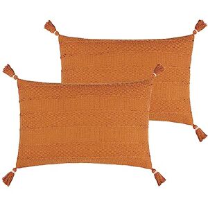 Yard Caliche Geweven Polyester Gevuld Kussen met Kwastje Twin Pack,40 x 60cm Yard Caliche Geweven Polyester Gevuld Kussen met Kwastje Twin Pack,40 x 60cm