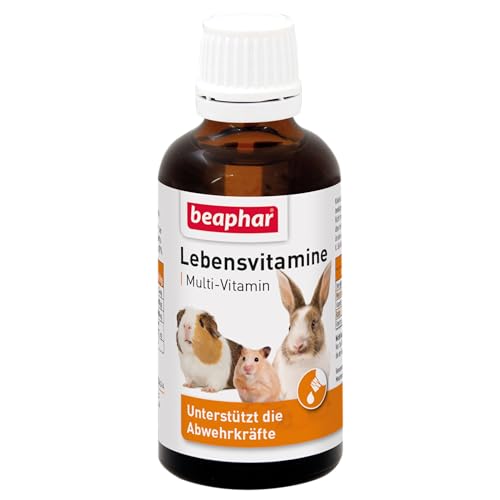 Beaphar Vitaminen voor knaagdieren, vitaminedruppels voor kleine dieren, met vitamine C, E en K, bijzonder goed voor cavia's, 50 ml