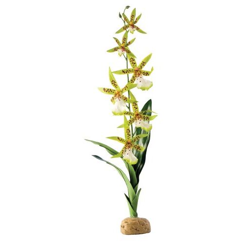 Exo Terra Spinnen orchidee, kunstmatige natuurgetrouwe plant voor terraria, ideaal voor regenwoud terraria