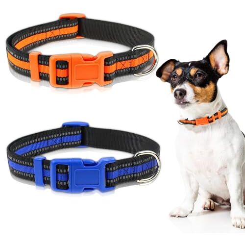 SHRADS Set van 2 halsbanden voor honden, gepersonaliseerde hondenhalsband, verstelbare hondenhalsband, reflecterende hondenhalsband voor kleine tot middelgrote huisdieren (maat M, blauw en oranje)