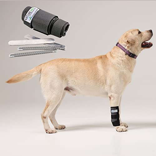 NATURE PET Premium Polsverband voor honden/Carpal Bandage voor honden/Foreleg Bandage (M, Grijs)