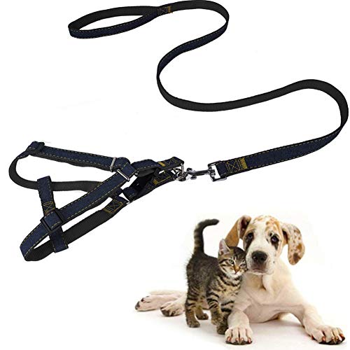 yinbaoer Hondentuigje hondenriem hondenharnas en riem sets, anti-trek, voor honden, halsbanden en riemen voor middelgrote honden, training voor honden, zwart, M