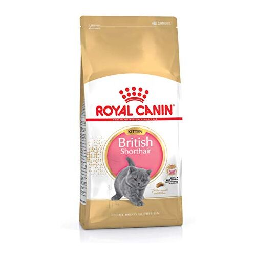 Royal Canin KITTEN British Shorthair Kattenvoer 10 kg, per stuk verpakt (1 x 10 kg)