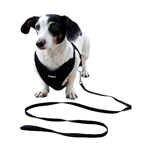 Kerbl Pet Puppyharnas met riem, zwart, 24-44 cm/10 mm