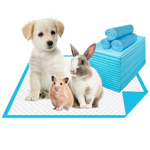 Shoppeo Trainingsmatjes hond   Puppy-trainingspads voor huisdier 33x45cm   100 stuks   Antislip & Lekvrij   Absorberende wegwerptrainingspads   Puppy Trainingskussens   Plasmat   Pee Pads   Dog training