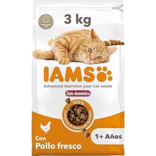 IAMS for Vitality Indoor kattenvoer droog droogvoer voor huiskatten vanaf 1 jaar, 3 kg