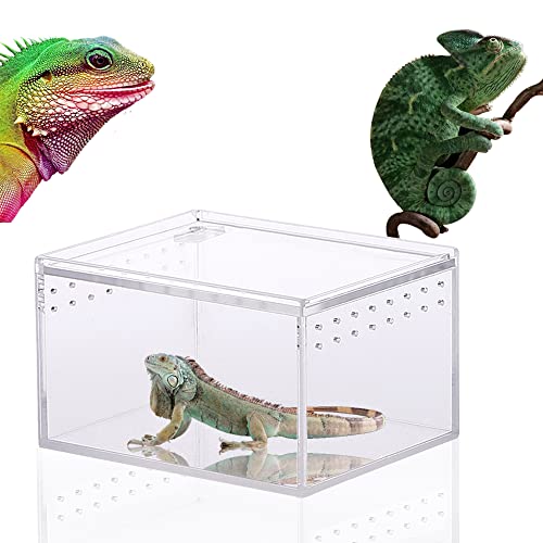 WDDA Transparante reptielenkweekbox, reptielterrarium box, transparant acryl reptielenkweekbox, reptielenbox, transparante reptielenbox, voor spide, hagedis, schorpioen, duizendpotten, 10,3 x 8,3 x 6 cm