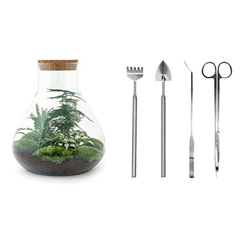 urbanjngl Planten terrarium • Sam XL • Ecosysteem met plant • ↑ 35 cm • DIY DIY Complete terrarium set Plantenterrarium    Terrarium + Hark + Schep + Pincet + Schaar