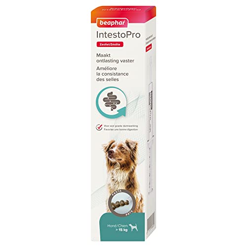 Beaphar Intestopro Pasta Hond >15kg Spijsverteringmiddel Kip 2x 20ml