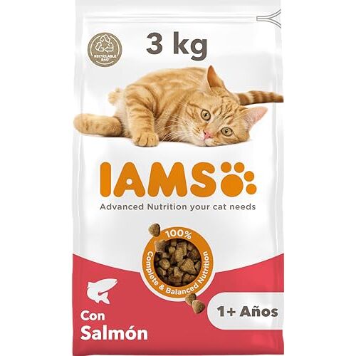 IAMS Kattenvoer droog met zalm droogvoer voor katten van 1-6 jaar, 3 kg