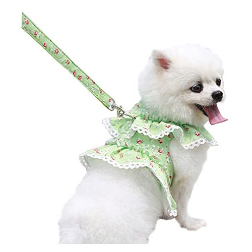 MeiAOBest Hondenharnassen met riem Set,Zachte katoenen bloemenkant huisdier vest harnassen voor katten puppy Samll honden Teddy Bichon (groen, L)