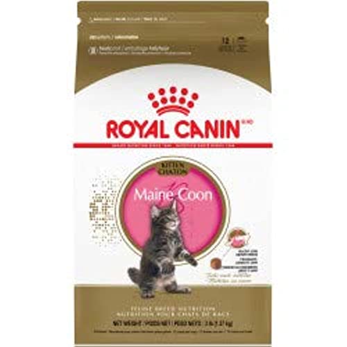 Royal Canin Kattenvoer Droogvoer kat maine coon kitten 2 kg