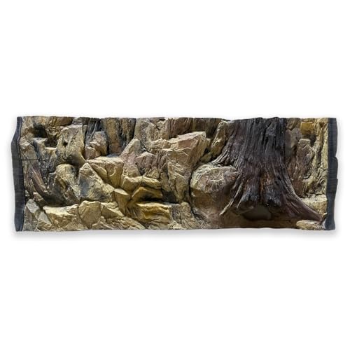 ZooPaul aquariumachterwand 3D 100 x 40 cm