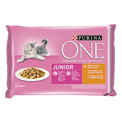 Purina ONE Kitten Junior natvoer voor kittens, 1-12 maanden, filettini in saus met kip en wortelen, 48 enveloppen à 85 g