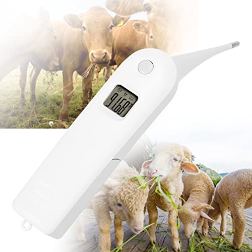 SALALIS Elektronische Varkens Vee Schapen Thermometer, Hond Thermometer Anus Thermometer Snelle Digitale Veterinaire Thermometer Temperatuur Tester voor Vee