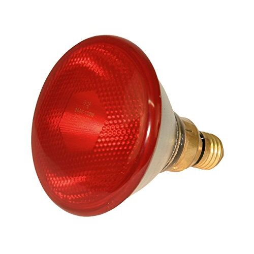 Kerbl spaarlamp, 175 W, rood