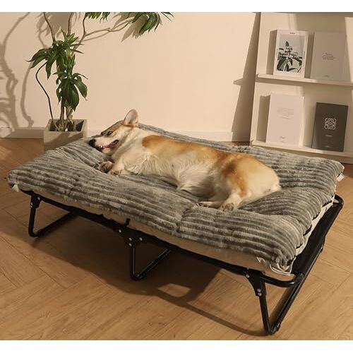 CAULO Verhoogd hondenbedbed, verhoogd hondenbed voor buiten met kussen voor middelgrote honden, met ademend gaas, antislipvoeten ( 107*61*20cm)