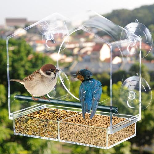 Nizirioo Venstervoederhuis voor vogels: transparant venster vogelvoederdispenser, hangable Wall Feeder acryl voerdispenser voor wilde vogels met zuignappen, vogelhuisje voor wilde vogels (20,5 x 15 x