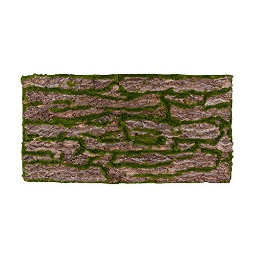 REPITERRA Terrarium achterwand 3D achtergrond deco natuurlijke look schors 116x58cm voor 120x60cm terraria