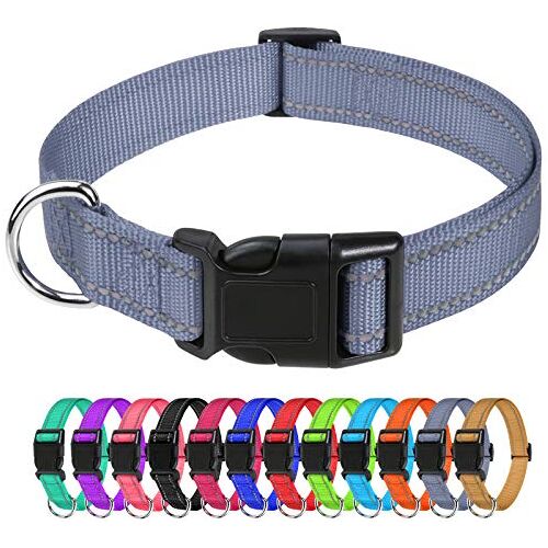 TagME Reflecterende nylon halsbanden, verstelbare klassieke halsband met snelsluiting voor kleine honden, grijs, 2,0 cm breedte