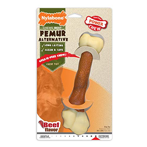 Nylabone Extreme kauwen Femur rundvlees smaak hond kauwen, 90 g