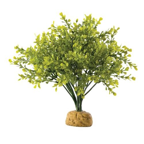 Exo Terra buxusboom, kunstgetrouwe plant voor terraria, ideaal voor regenwoudterraria