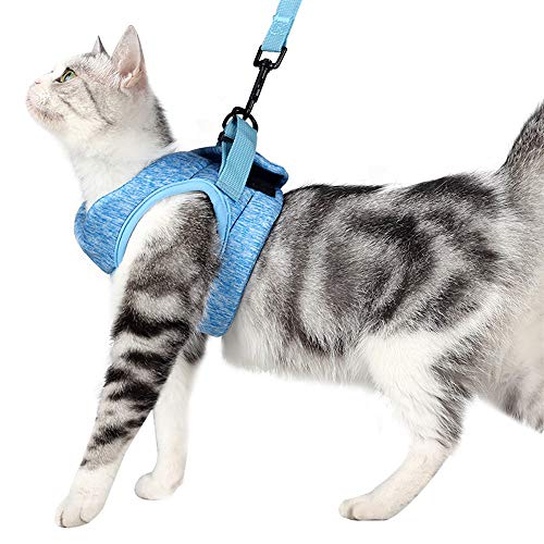 BT Bear Escape Proof Cat Harness en Leash Set,Ultra-lichte kat harnassen verstelbare zachte kat wandelen vest harnassen voor konijn katten (L, blauw)