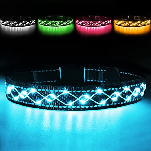 kulloomii USB LED Halsband voor Honden Hondenhalsbanden Waterdicht Lichtgevende Halsbanden voor Kleine Grote Honden Blauw