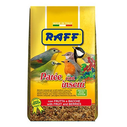 RAFF Paté met insecten, 400 g, met vruchten en bessen voor vogels, insectenvruchten, fijne snavel