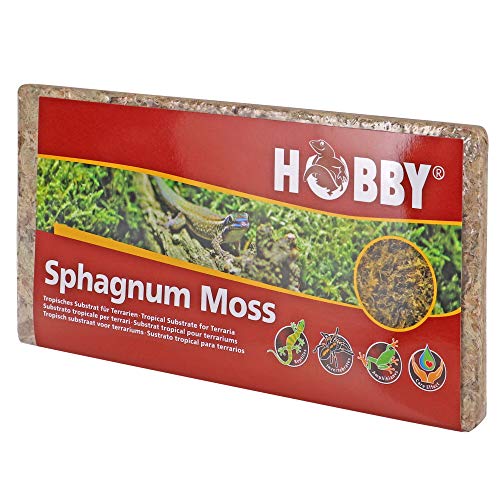 Dohse Aquaristik Hobby 34170 Spaghnum Moss, tropisch substraat voor terraria