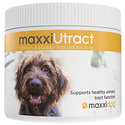 maxxipaws maxxiUtract Urineweg- en Blaassupplement voor honden om infectieherhaling te voorkomen en een optimale gezondheid van de urineweg te ondersteunen – Cranberry-Poeder 150 g