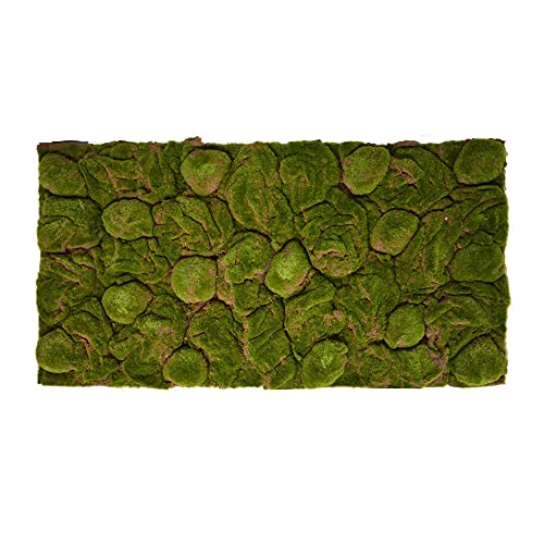 REPITERRA Terrarium achterwand 3D achtergrond decoratie natuurlijke look mos 116x58cm voor 120x60cm terraria