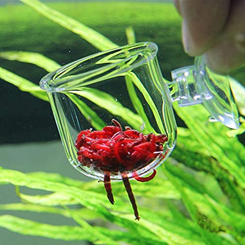 CENPEK 2 Stks Aquarium Glas Voeding Kegel Cup Plant Cup Pekel Garnalen Levende Rode Worm Vis Feeder voor Aquaria met Zuignap