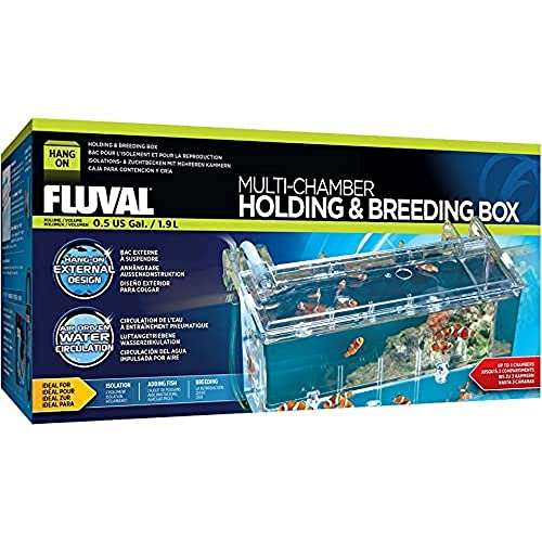 Marina Fluval Hang-On kweekbak L, met 2,0 l inhoud, voor vissen, voor aquarium