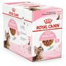 Royal Canin Koninklijke Gesteriliseerde Zak Kitten Katje Koninklijke Koninklijke Jelly 85 gr