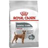 Royal Canin CCN Medium Dental Adult Dry Food for Adult Dogs 3kg