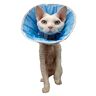 GRANDE FINALE Postoperatieve kraag/halsband/kegel, postoperatieve operatie voor honden, katten of konijnen (1,5 (S/M) halsomtrek: 22-28 cm, Hoogte: 14)