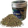 Croci Euphoria Catnip Pot