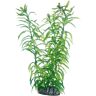 Hobby 51566 Heteranthera, 25 cm