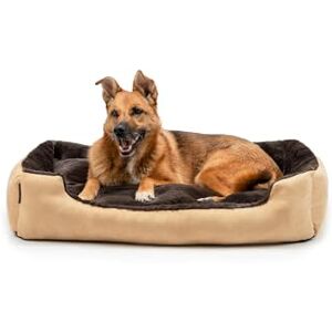 lionto Hondenbed met wendbaar kussen en antislip onderkant, stevig huisdierkussen met lage instap, 90x70 cm, knuffelzacht hondenkussen, beige/bruin lionto Hondenbed met wendbaar kussen en antislip onderkant, stevig huisdierkussen met lage instap, 90x70 cm, knuffelzacht hondenkussen, beige/bruin