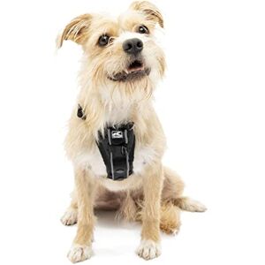 Kurgo Tru-Fit Smart Hondenharnas - Harnas Kurgo Tru-Fit Smart Hondenharnas - Harnas