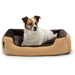 lionto Hondenbed met wendbaar kussen en antislip onderkant, stevig huisdierkussen met lage instap, 60x48 cm, knuffelzacht hondenkussen, beige/bruin lionto Hondenbed met wendbaar kussen en antislip onderkant, stevig huisdierkussen met lage instap, 60x48 cm, knuffelzacht hondenkussen, beige/bruin