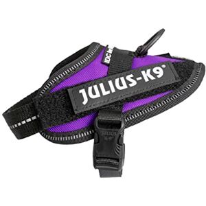 Julius-K9 Harnas - Verstelbaar, Reflecterend, Personaliseerbaar Julius-K9 Harnas - Verstelbaar, Reflecterend, Personaliseerbaar